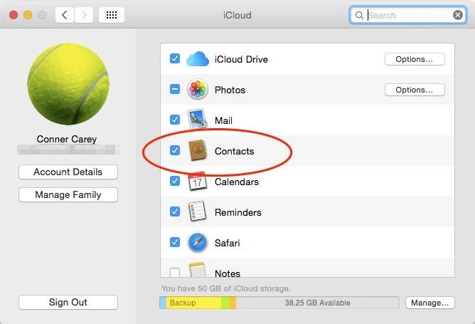 how to import iPhone contacts to Mac from system preference