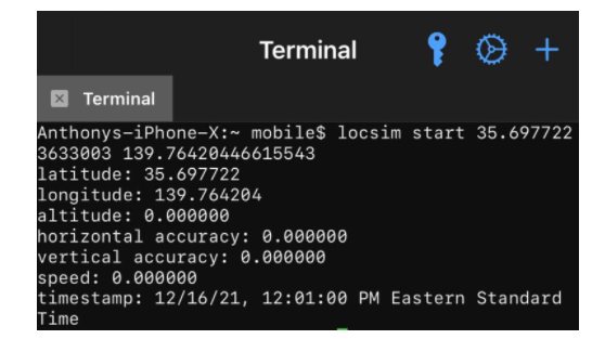 terminal locsim