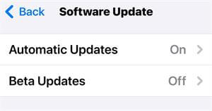 turn on automatic updates on iphone