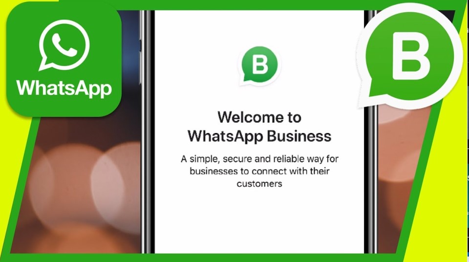 use-whatsapp-business