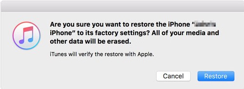 verify the restore