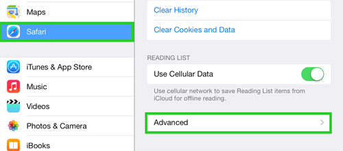 view Safari history on iPad in settings