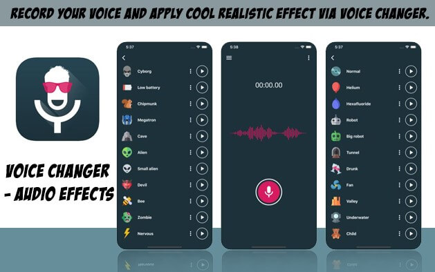 change voice online echo sound effect