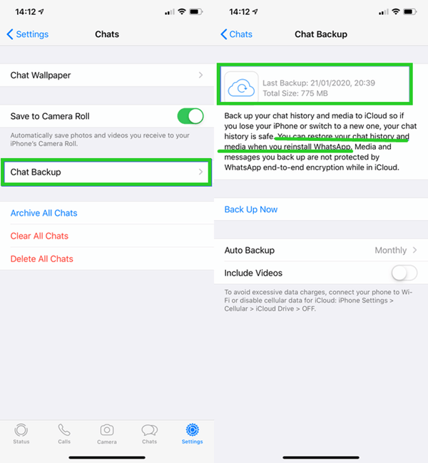 take WhatsApp local backup on iPhone