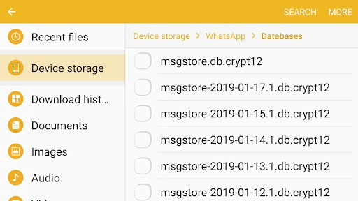 restore WhatsApp from local backup