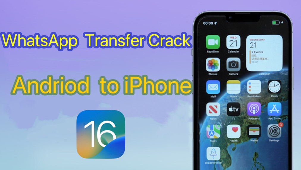 Whatsapp transfer crack