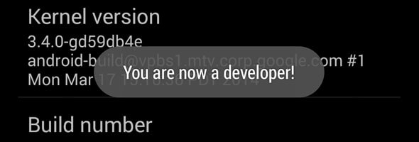 you are now a developer