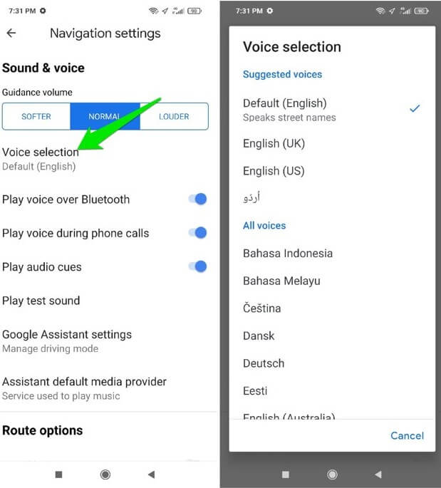 Google Maps Navigation settings voice change