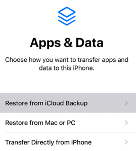 choose restore from icloud backup