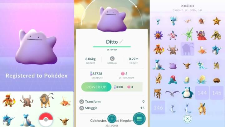 Basic Info of Ditto in Pokémon GO