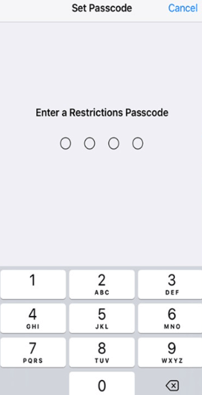 enter restriction code
