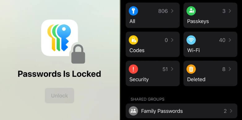iOS 18 New Password Manager App