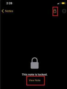 view locked notes on iphone
