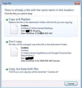 back up google history manually