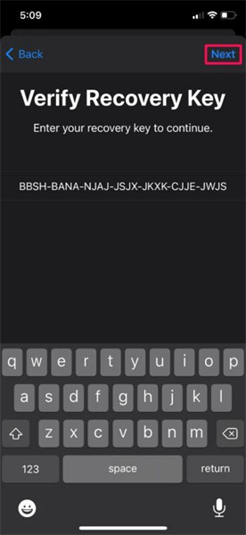 change icloud password with via recovery code