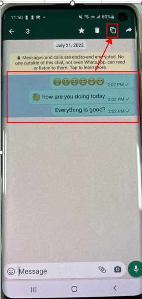 copy-whatsapp-messages