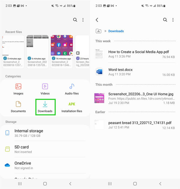delete downloaded files