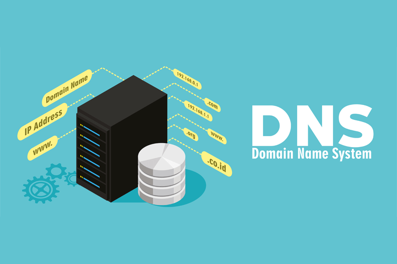 domain name system