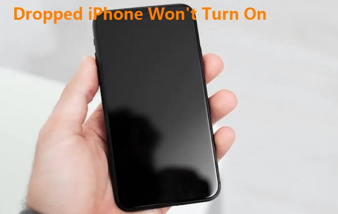 dropped phone won't turn on