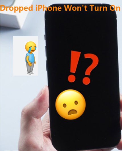dropped iPhone won't turn on