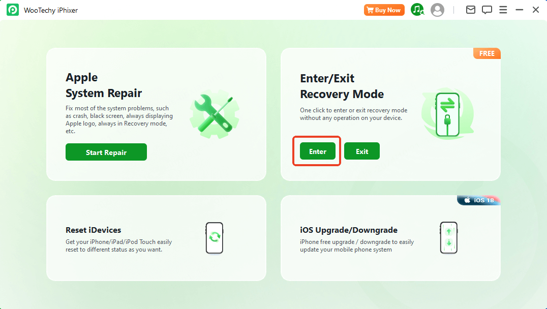 select enter recovery mode