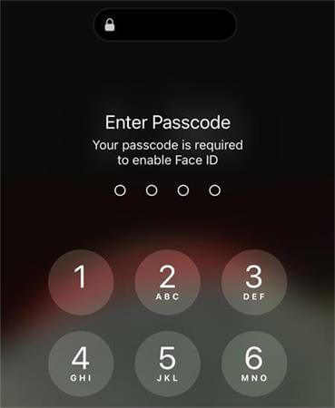 face id attempts