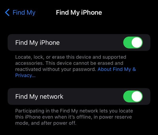 turn on Find My