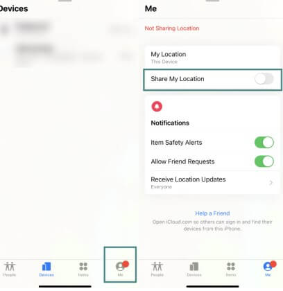Check Setting in Find My
