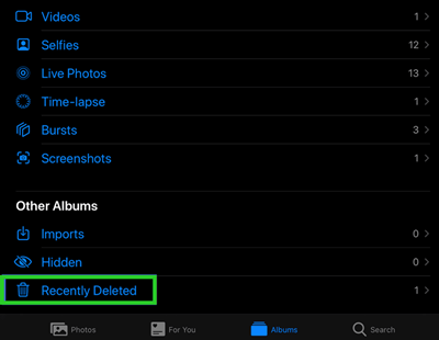 recover deleted videos iPad from recently deleted album