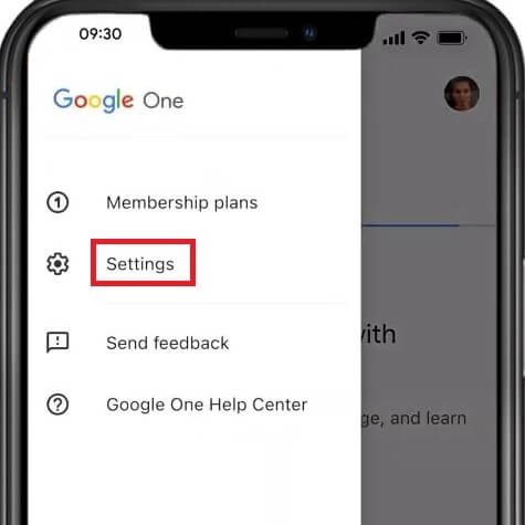Google One settings