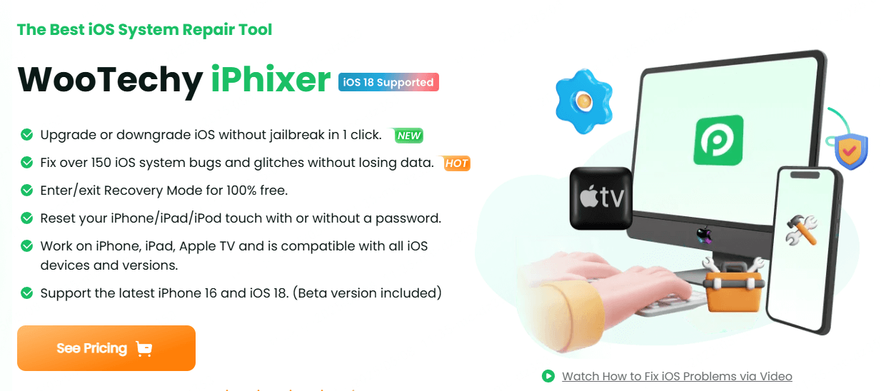 Fix iPhone could not be restored with WooTechy iPhixer