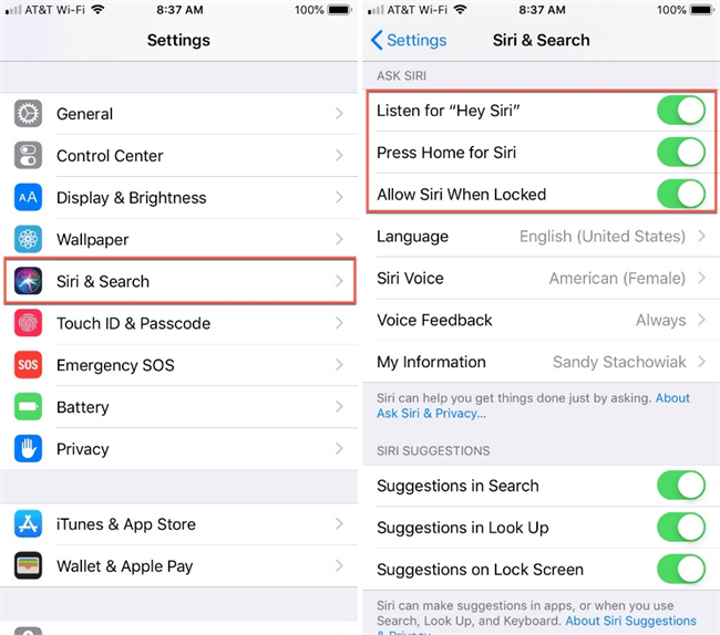 make sure siri is enabled