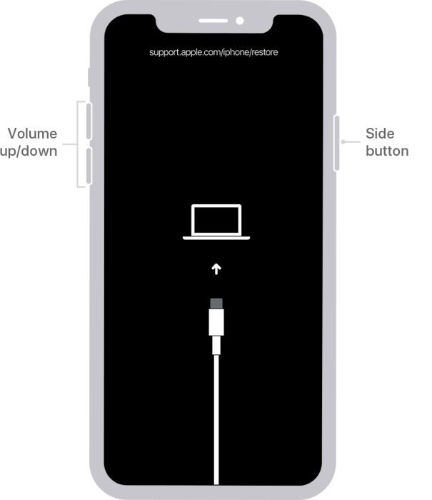 put iphone into recovery mode for downgrade