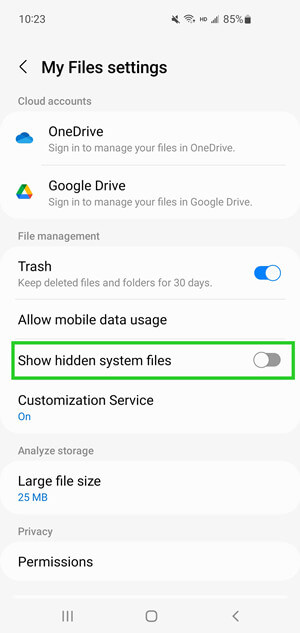 show hidden files in file manager