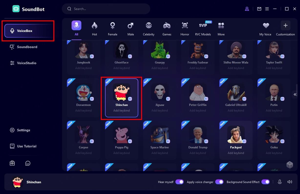 voice filters in wootechy soundbot