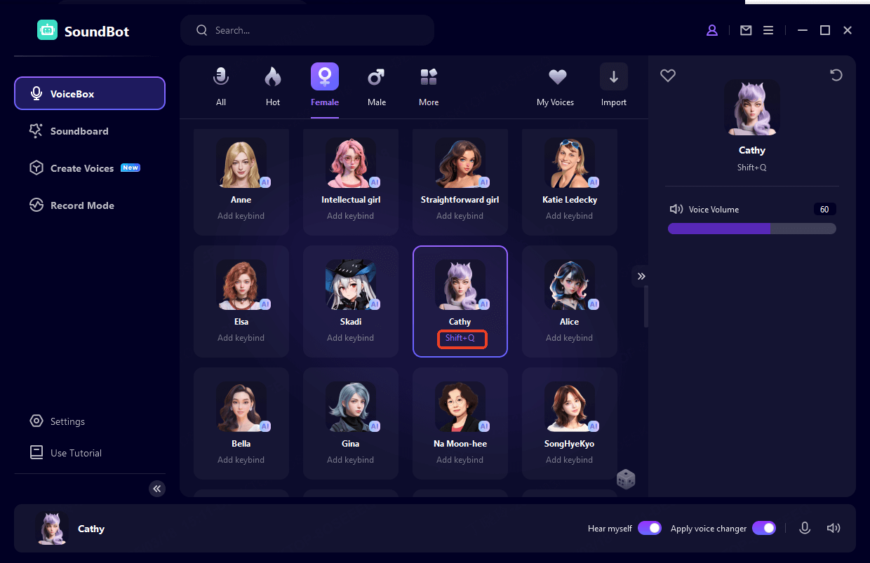 voice filters in wootechy soundbot