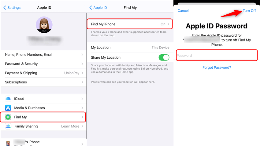 turn off find my before downgrade