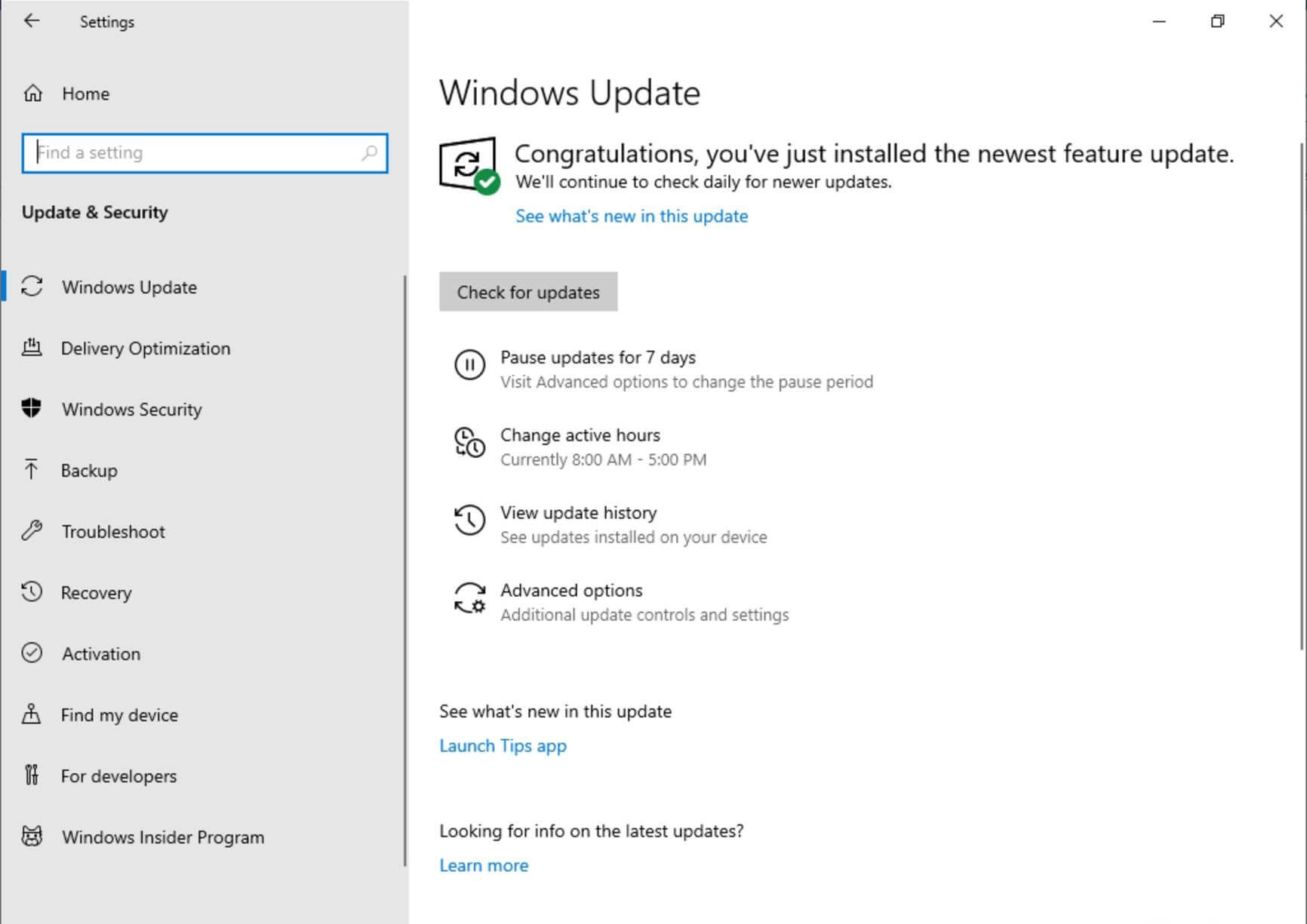 update windows