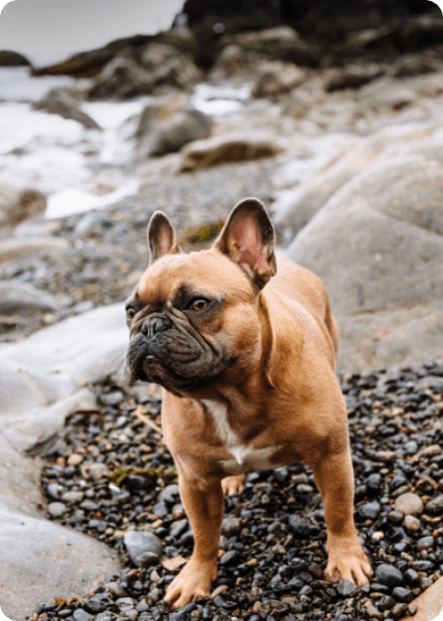 Lift subject from background