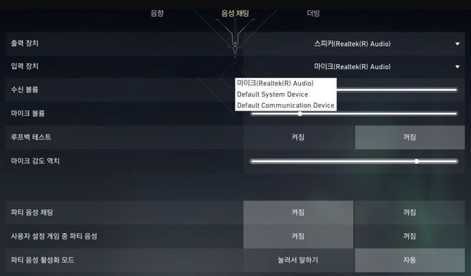 게임 내 음성 채팅 설정 확인