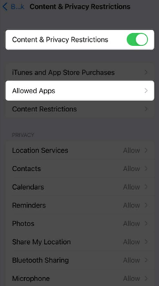 content privacy restrictions