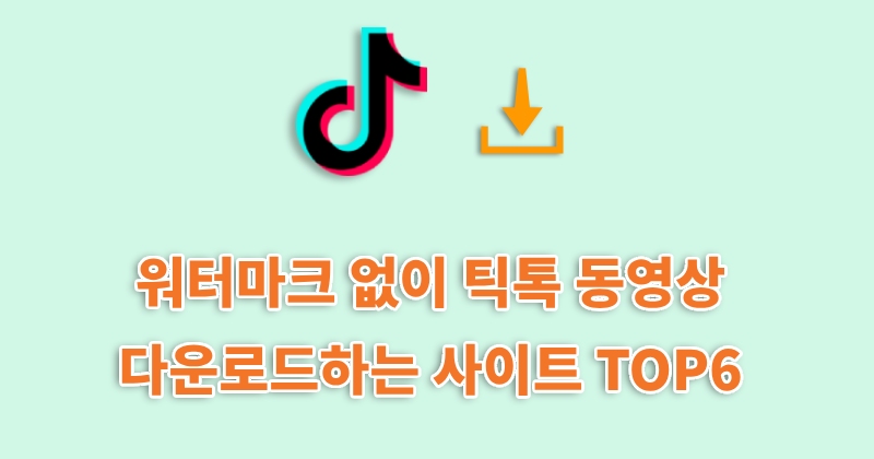 워터마크 없이 틱톡 동영상 다운로드하는 사이트 및 프로그램 TOP6