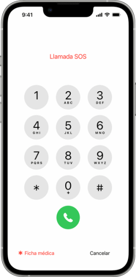 use emergency call erase iphone