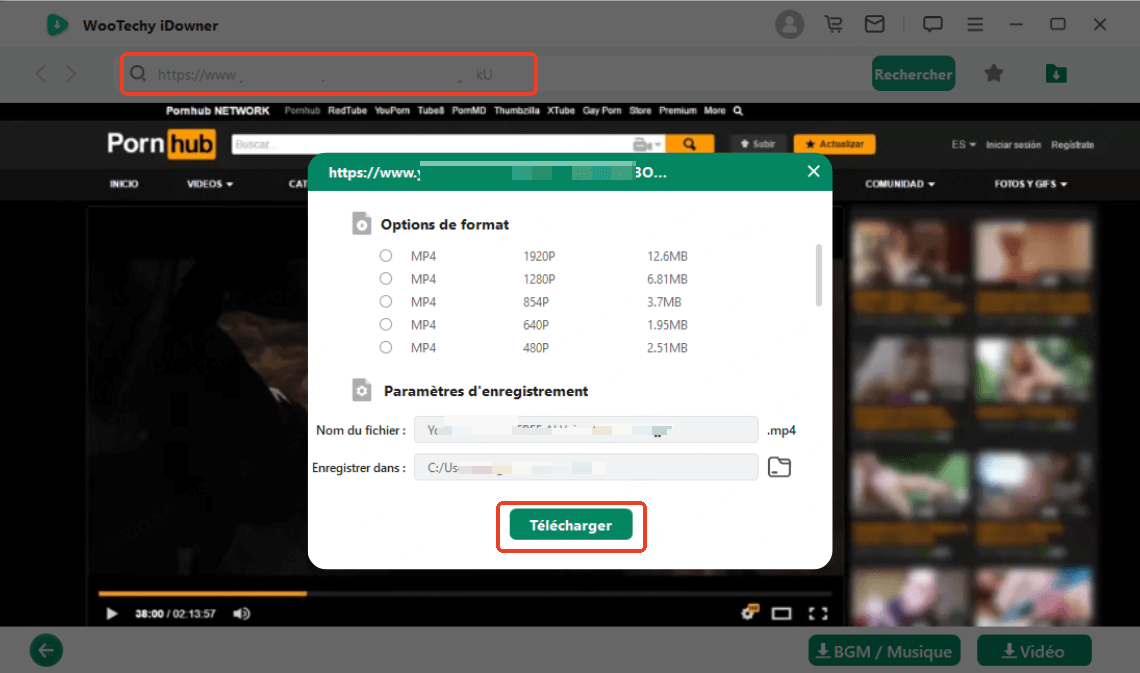 idowner pc pornhub downloader et converter