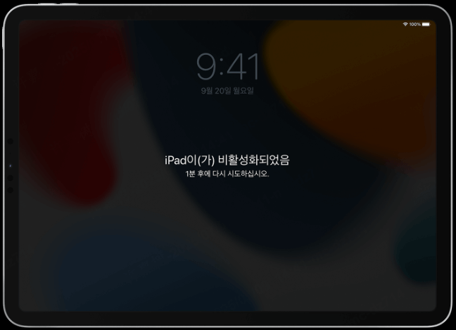 iPad 비활성화