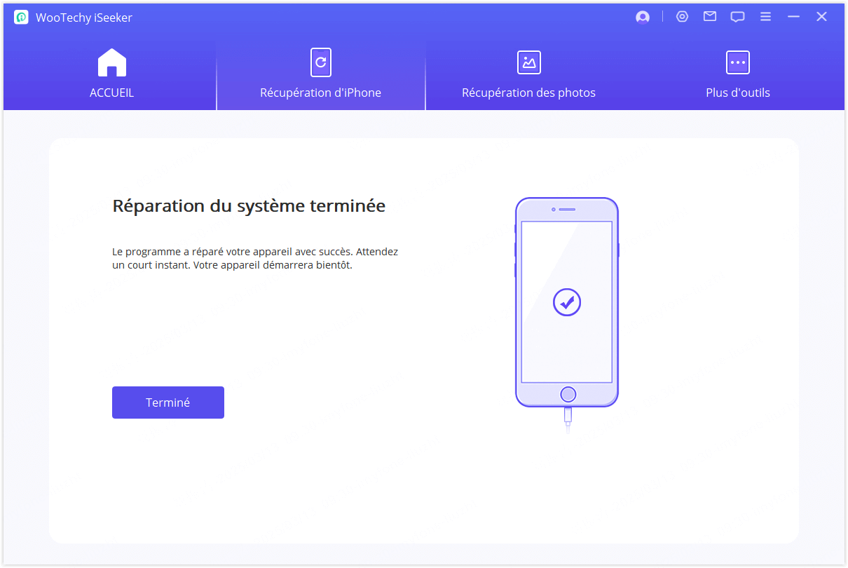 Reparieren des iOS-Geräts