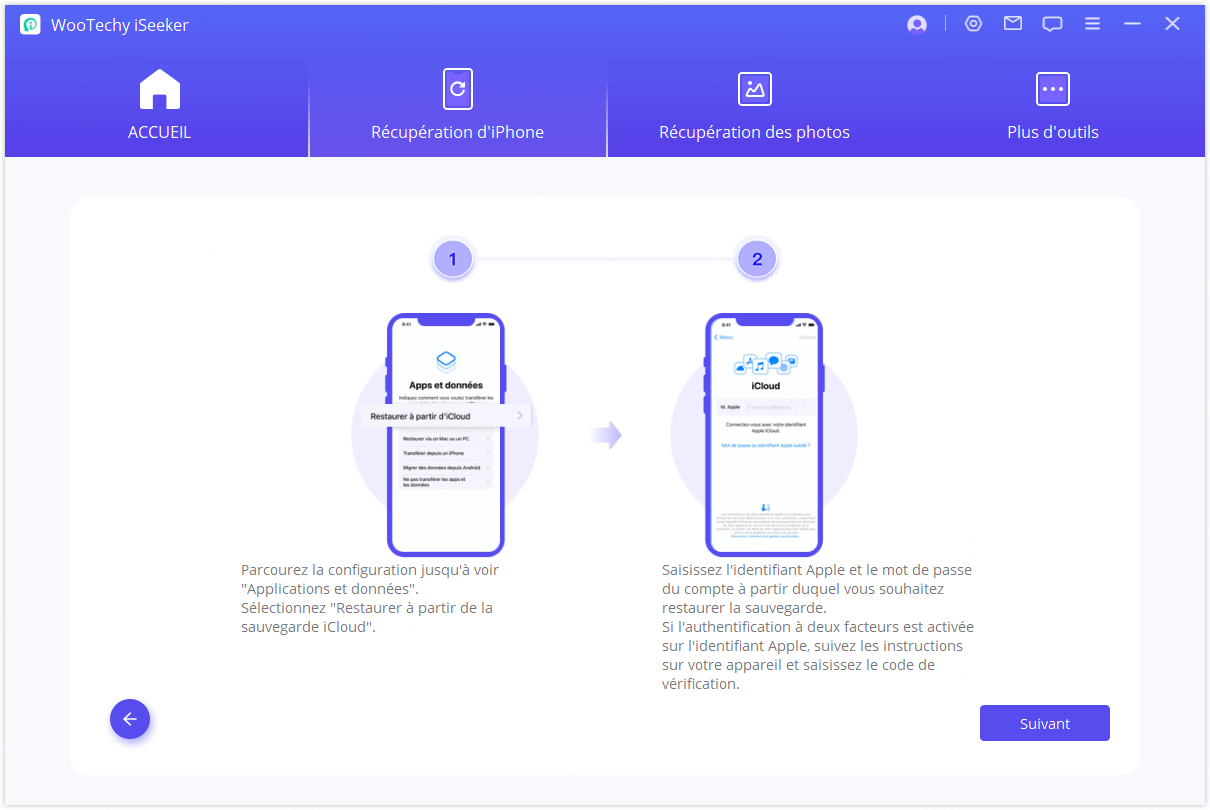 Sélectionner le type de récupération de la sauvegarde iCloud