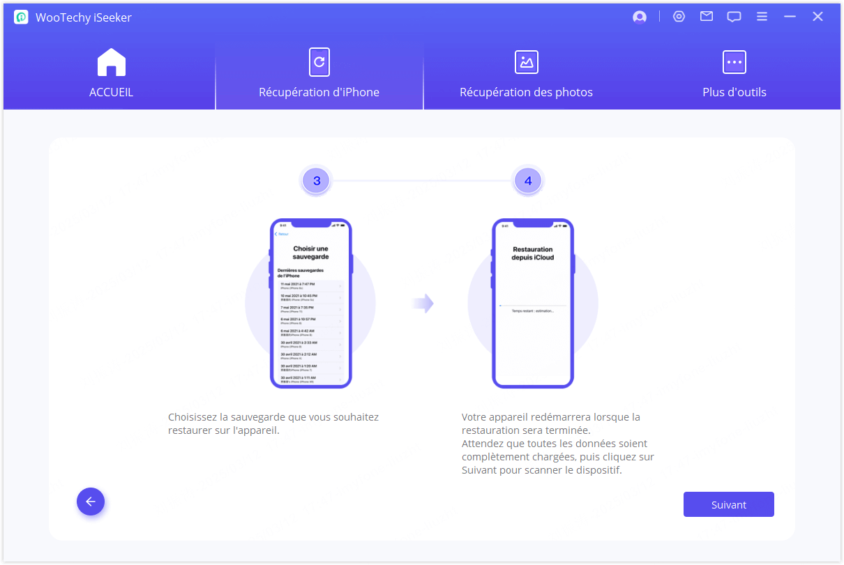 Sélectionner le type de récupération de la sauvegarde iCloud