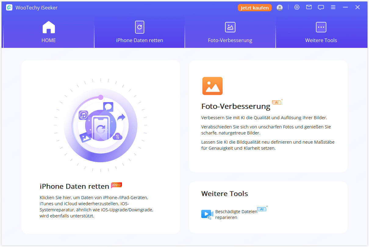 Daten_Wiederherstellungsmodus_wählen