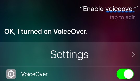 enable voice over